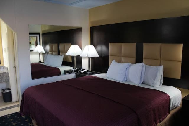 Deluxe Room, Non Smoking, Refrigerator & Microwave