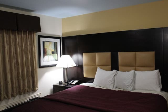 Deluxe Room, Non Smoking, Refrigerator & Microwave