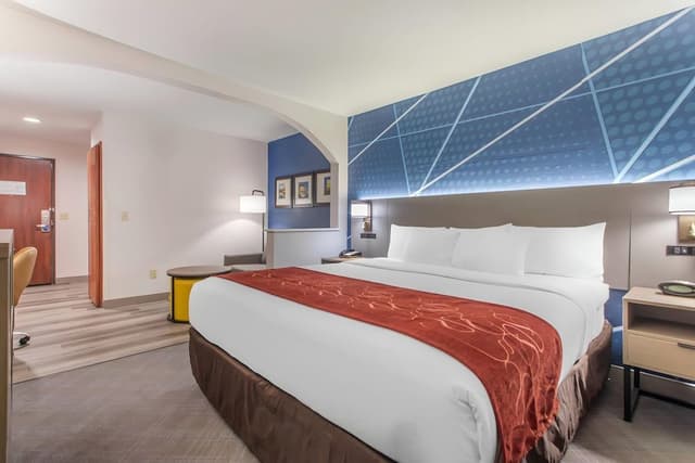 Standard Studio Suite, 1 King Bed with Sofa bed