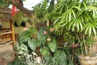 Wanliya Resort Wanliya Resort