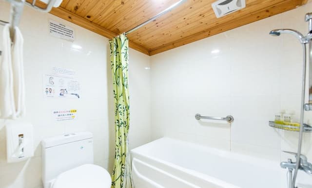 Standard Room, Bathtub, City View