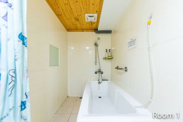 Double Room, Bathtub, City View