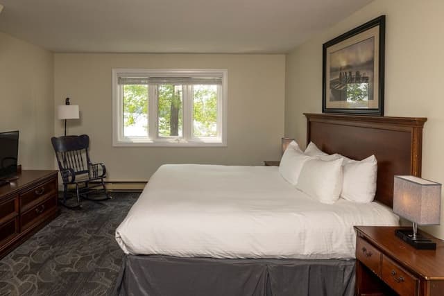 Suite, 1 King Bed with Sofa bed