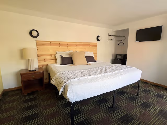 Room, 1 King Bed