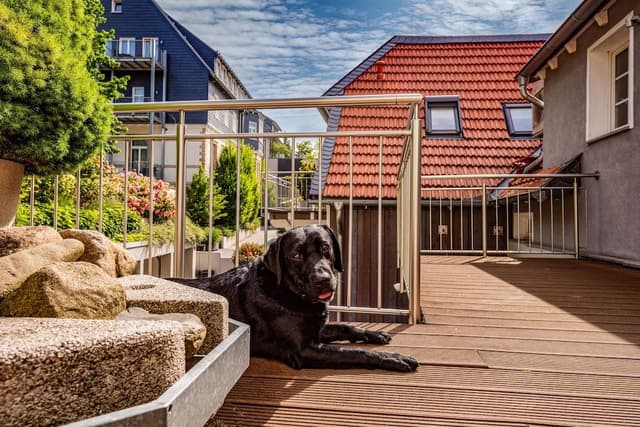Apartment, Terrace