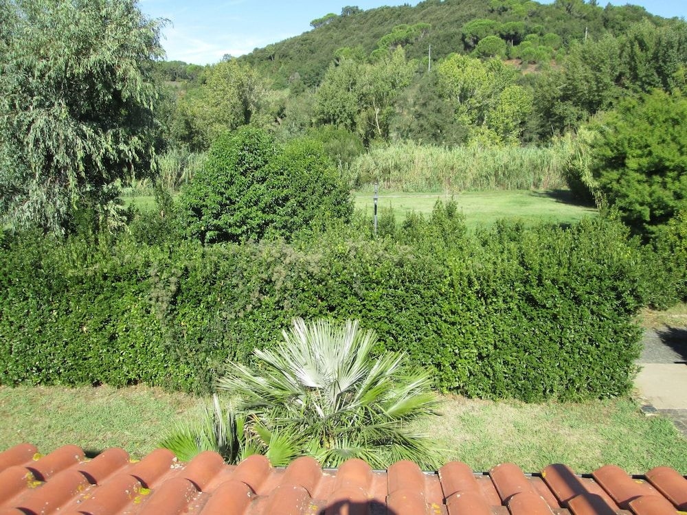 Fattoria La Steccaia3