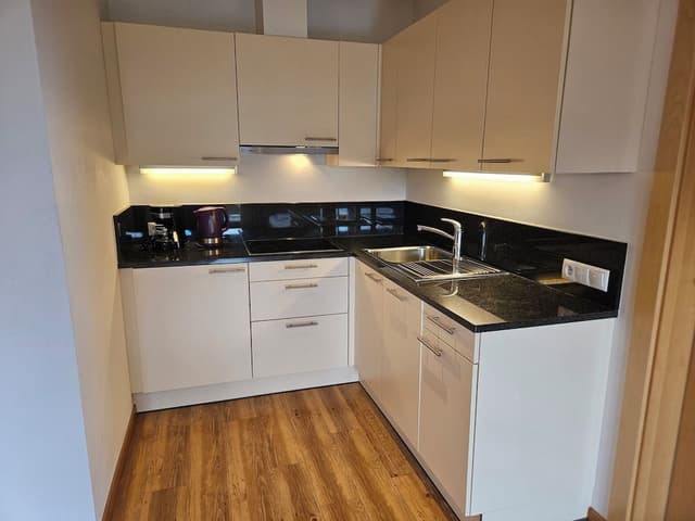 Panoramic Studio, 1 Queen Bed with Sofa bed, Non Smoking, Mountain View