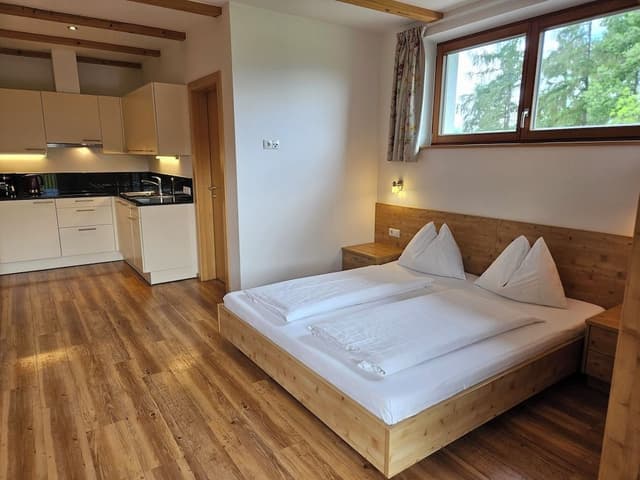 Panoramic Studio, 1 Queen Bed with Sofa bed, Non Smoking, Mountain View