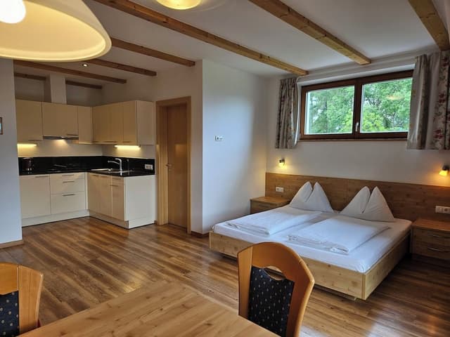 Panoramic Studio, 1 Queen Bed with Sofa bed, Non Smoking, Mountain View