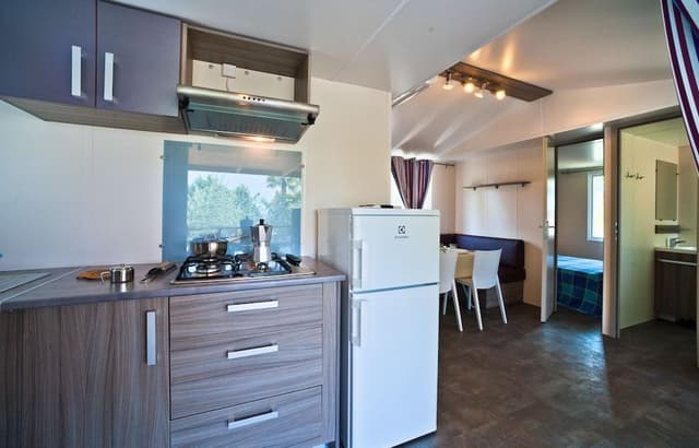 Deluxe Mobile Home