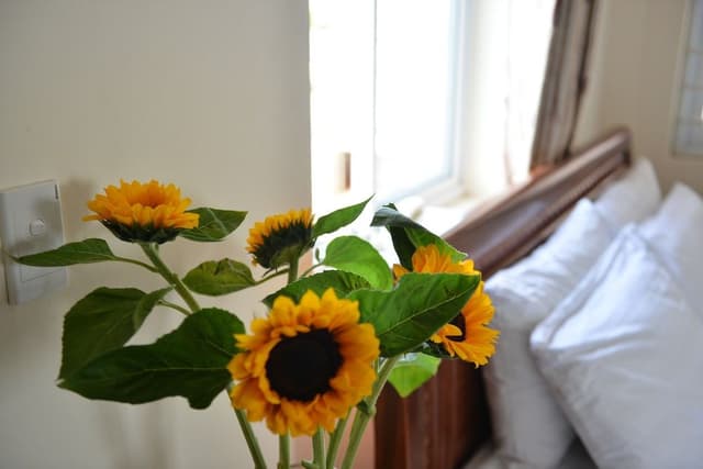 Standard Room, 1 Double Bed
