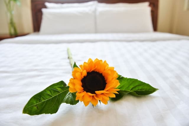 Standard Room, 1 Double Bed