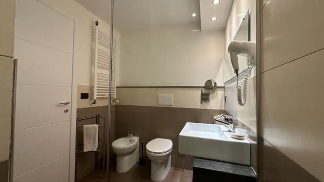 Standard Triple Room (shower with hydromassage)