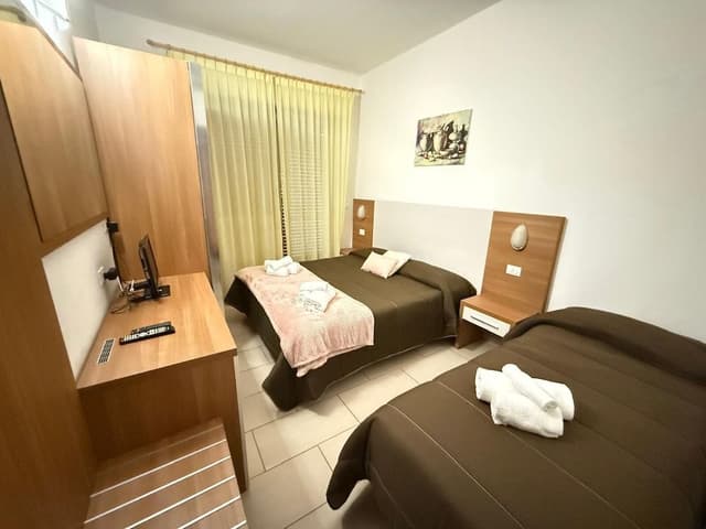 Basic Double or Twin Room