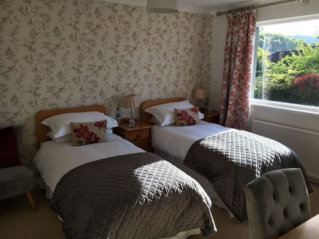 Twin Room (Room 5)