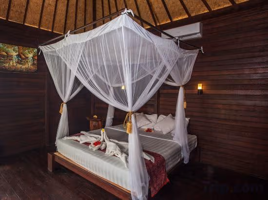 Deluxe Garden Room