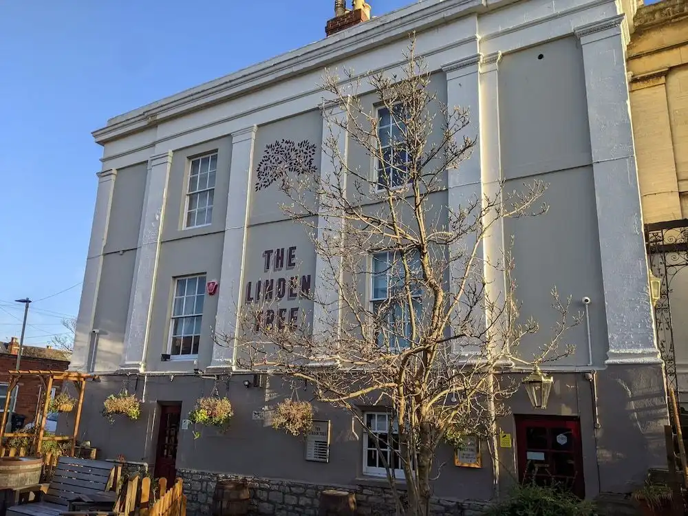 The Linden Tree The Linden Tree