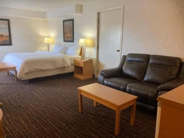 Executive Room, 1 King Bed