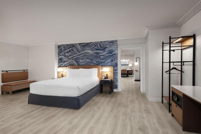 Suite, 1 King Bed with Sofa bed, Roll-in Shower (Hospitality)