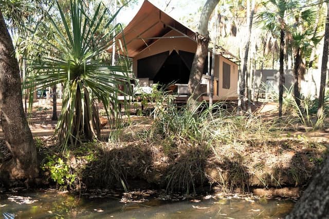 Standard Tent