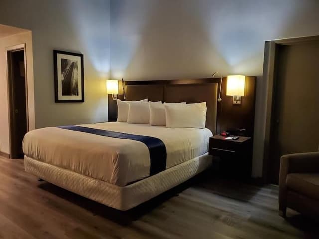 Deluxe Single Room, 1 King Bed