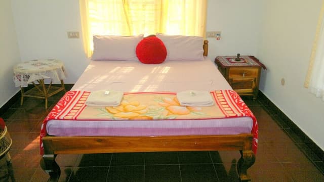 Standard Room (Non A/C)