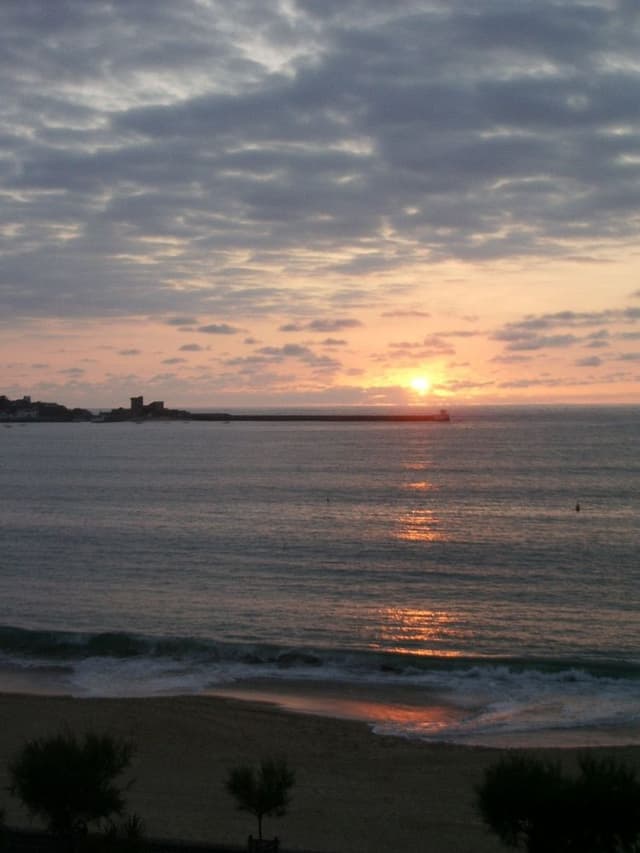 Double or Twin room ( based on availability ), Ocean view