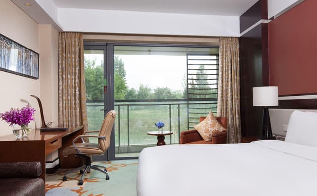 Premium Room