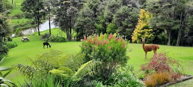 Premium Double or Twin Room, 1 Bedroom, Non Smoking, River View