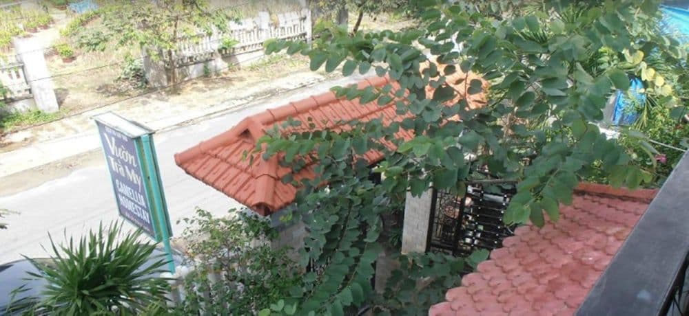 Camellia Homestay Camellia Homestay