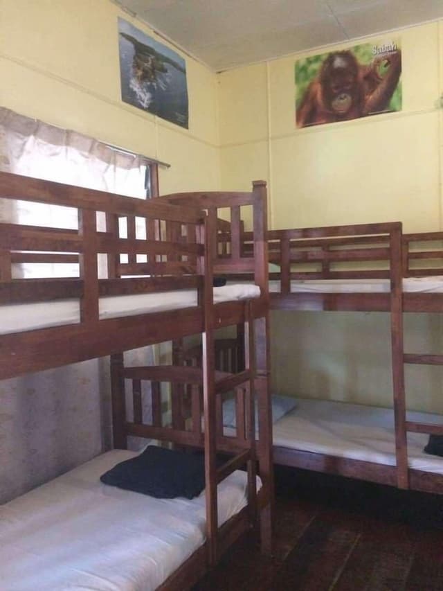 Standard Shared Dormitory, Mixed Dorm