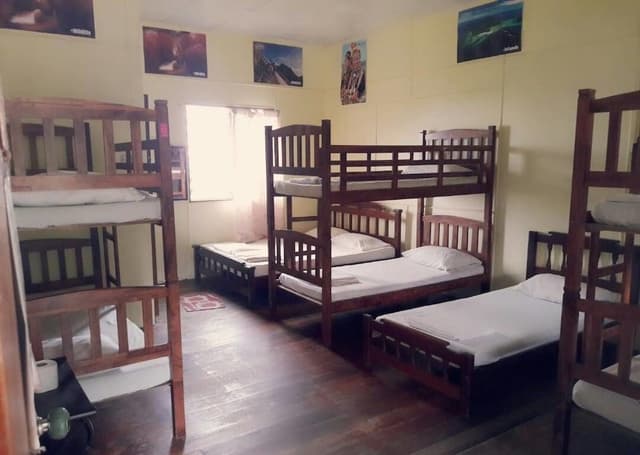 Standard Shared Dormitory, Mixed Dorm