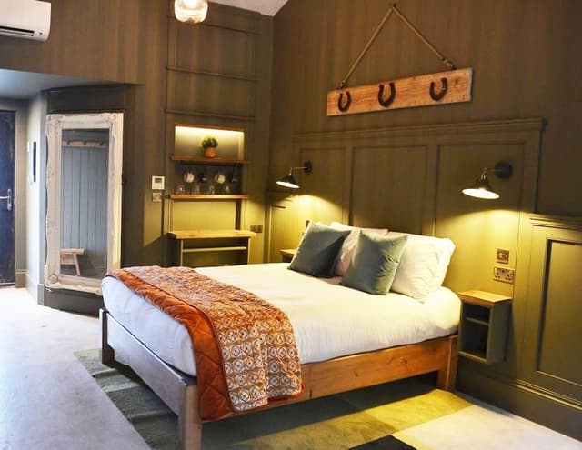Deluxe Double Room (King Room 15)