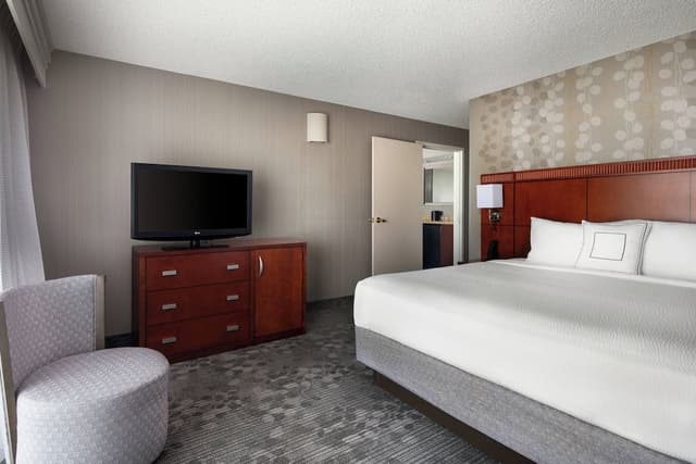 Suite, 1 King Bed with Sofa bed