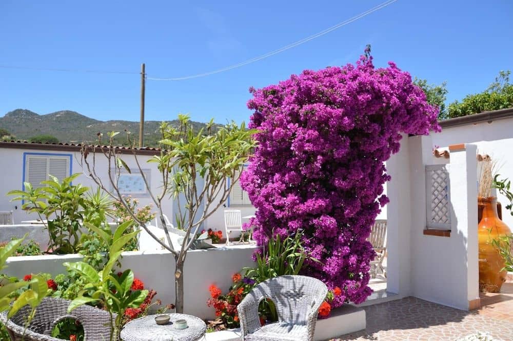Hotel Il Timone Hotel Il Timone