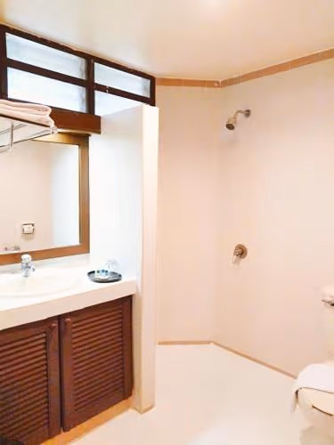 Deluxe Twin Room with Garden View
