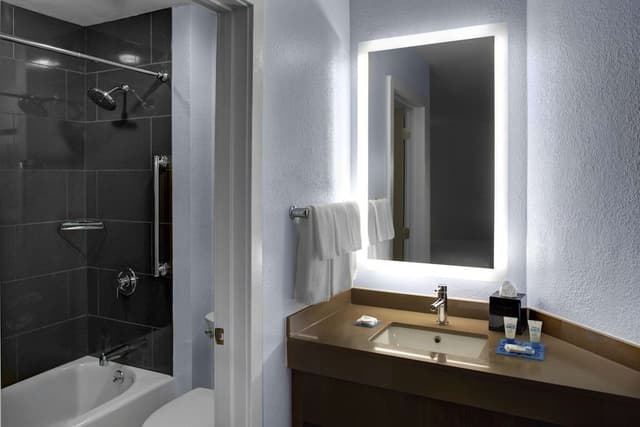 Studio Suite, 1 King Bed, Accessible, Bathtub