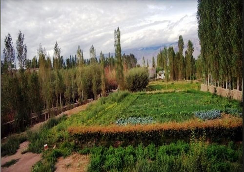 Hotel Ladakh Heaven1