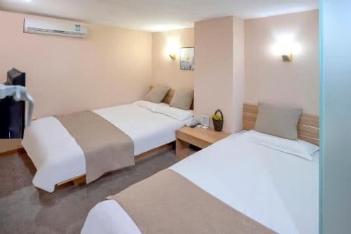 Family Room - 1 Queen and 1 Single Bed