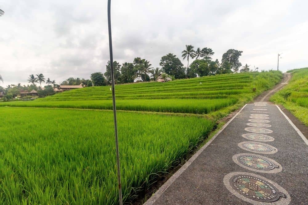 Umasari Rice Terrace Villa Umasari Rice Terrace Villa