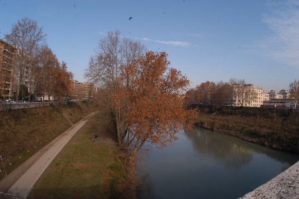 Hospitales Del Pellegrino - Trastevere3
