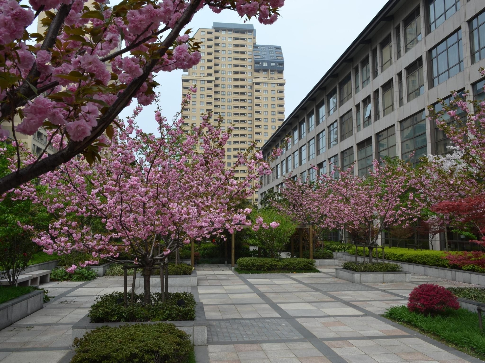 โรงแรมมิลเลเนียม อู๋ซี (Millennium Hotel Wuxi)4