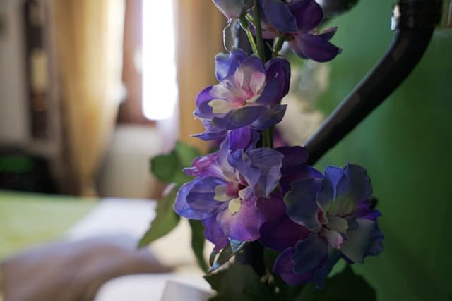 Single Room, Annex Building (Camelot)