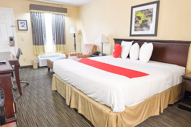 Room (King Bed Non-Smoking)