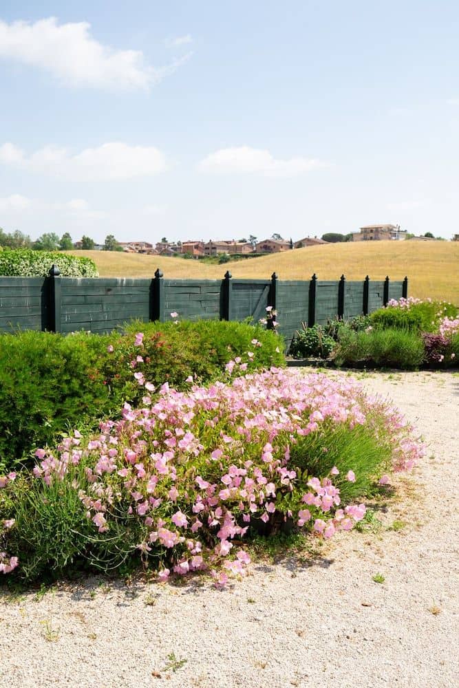 Tenuta Capizucchi Tenuta Capizucchi