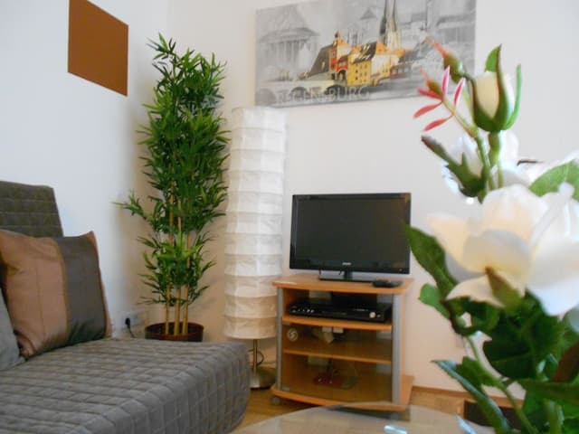 Studio, 1 Double Bed with Sofa bed, Balcony (incl. EUR 25 cleaning fee)