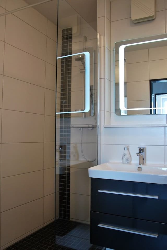 Apartment, 2 Bedrooms, Balcony (15.01)
