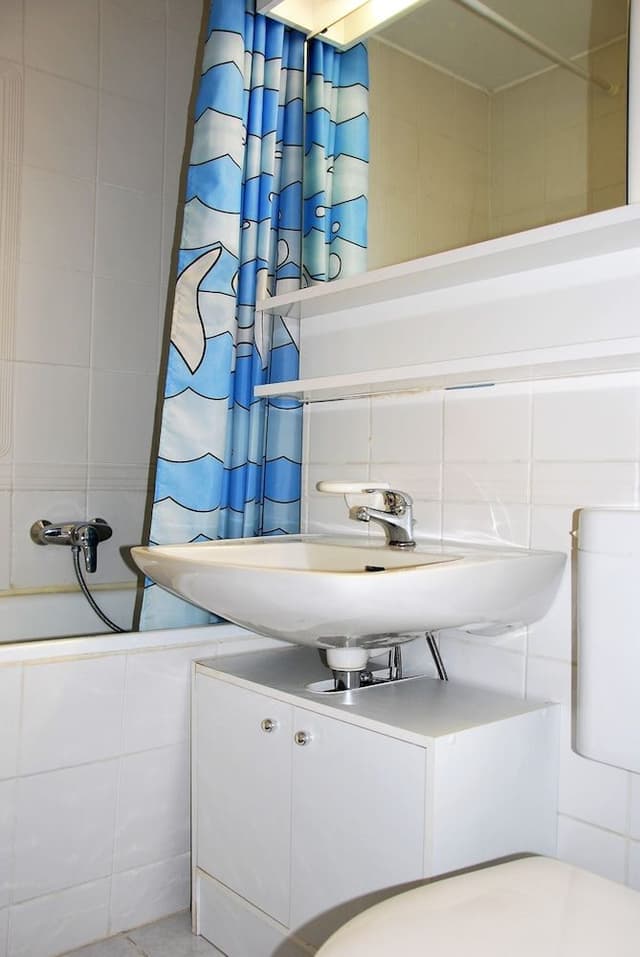 Apartment, 1 Bedroom, Balcony (06.02)