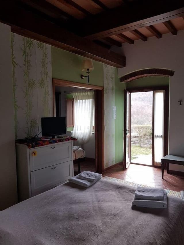 Apartment, 1 Queen Bed with Sofa bed