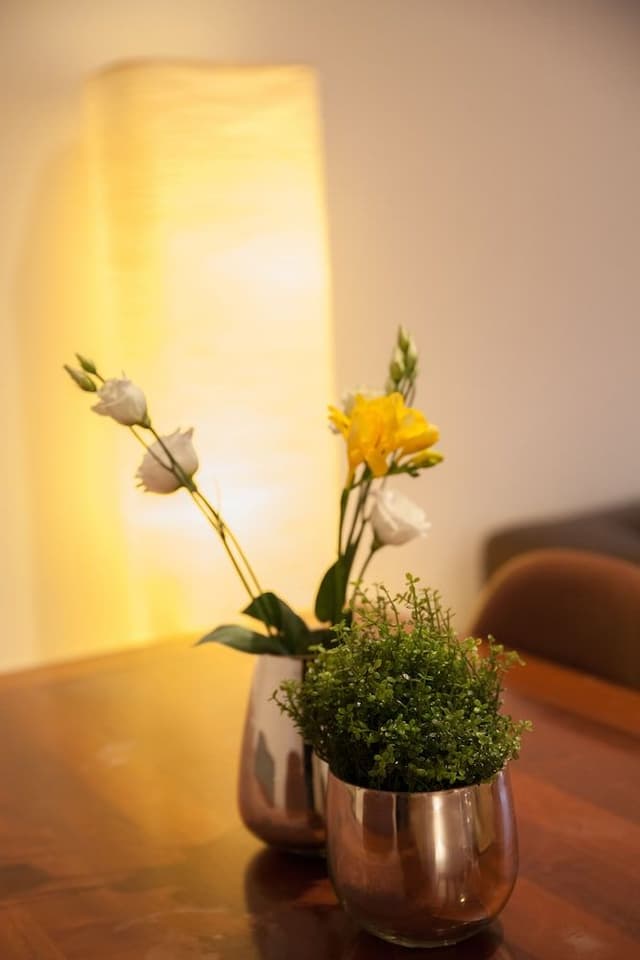 Family Apartment